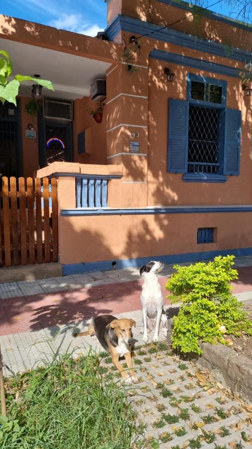 Hostel El Caminito Lgbtqiapn Plus Santos  Esterno foto